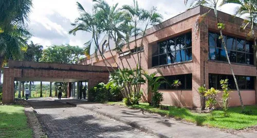 Federal University of Southern Bahia: Institusi Pendidikan Berkualitas