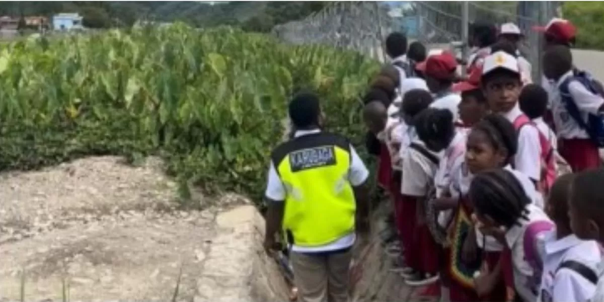 viral! Anak SD di Tolikara Tunggu Pesawat Demi Sekolah: Potret Perjuangan Pendidikan di Pedalaman Papua